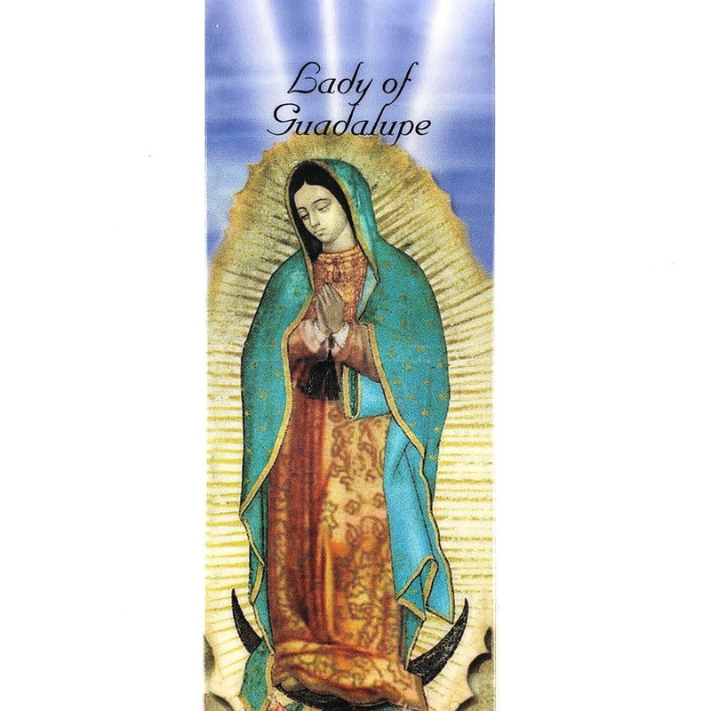 Our Lady of Guadalupe in English